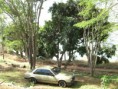 /album/galeria-de-fotos/que-pescar-que-nada-033-jpg/